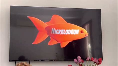 Berjaya Hvn Presents Logo With Warning And Nickelodeon Fish Logo Vcd