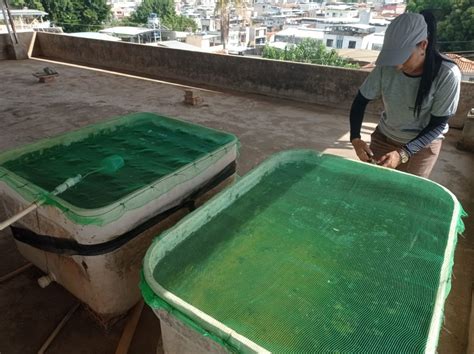 Servidores De Endemias Realizam Trabalhos De Combate Dengue Nos