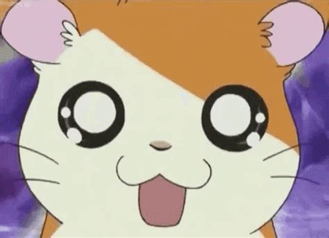 Hamtaro Hamtaro Discover Share Gifs