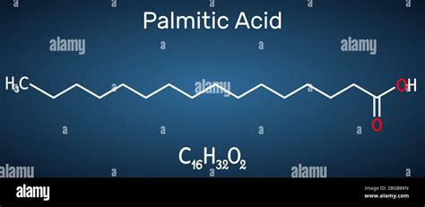 Structural Chemical Formula And Molecular Model Of Palmitic, 55% OFF