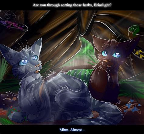 Jayfeather And Briarlight Warrior Cats By Warriorcat3042 On Deviantart