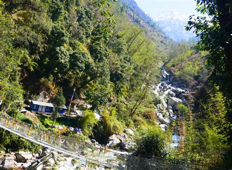 Tamang Heritage With Langtang Valley And Gosainkunda Trek