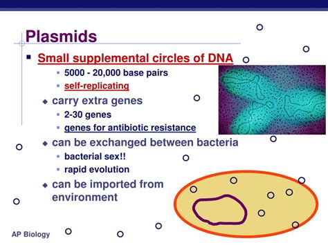 PPT - VIRUSES, BACTERIA, and PLASMIDS PowerPoint Presentation, free ...