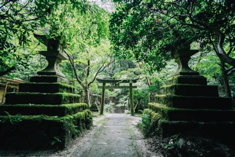 【京都の穴場】深緑の世界「北白川大山祇神社」の魅力や行き方を紹介 Hi Photography