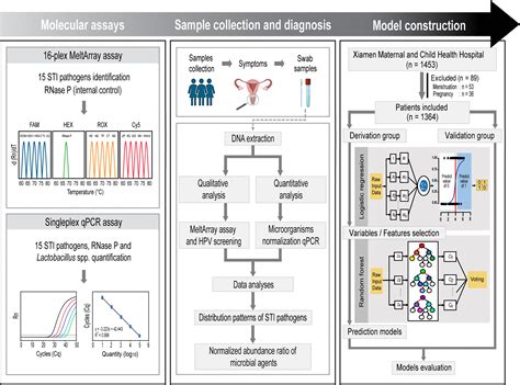 Qualitative And Quantitative Detection Of Multiple Sexually Transmitted