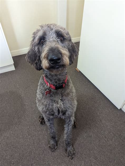 Support Staff — Smith Street Medical Centre