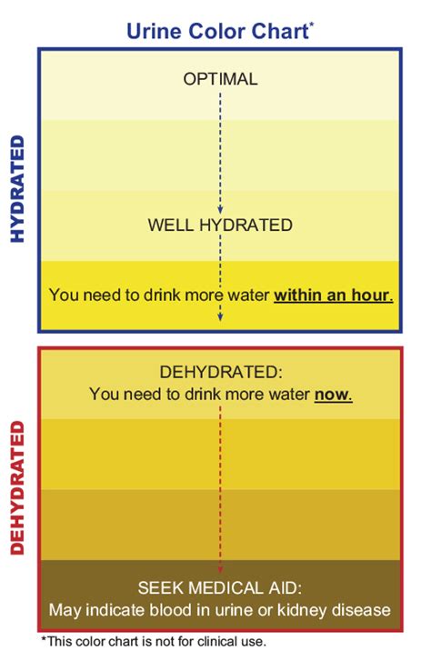 Dehydration Urine Color Chart Infographic Health Nutrition Chart Urinal This Dehydration Urine