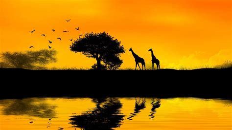 African Sunrise Wallpapers - Top Free African Sunrise Backgrounds ...