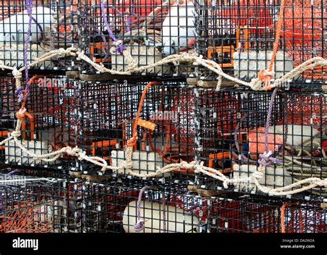 Lobster Pots And Buoys Stock Photo Alamy