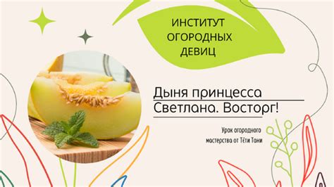 Дыня. Принцесса Светлана. Очень вкусно и красиво. Как прищипывать ...