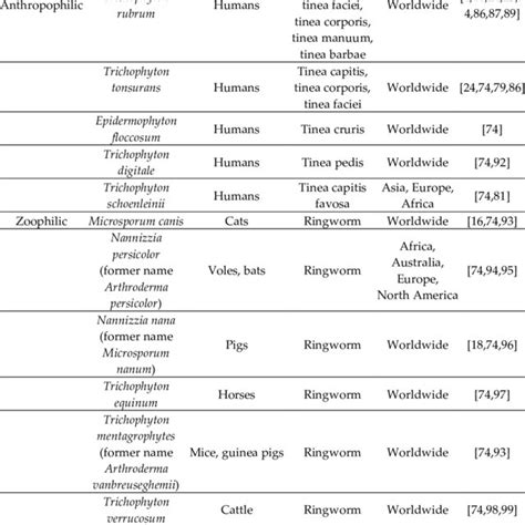 Classification Of Most Common Dermatophytes Causing Infections In