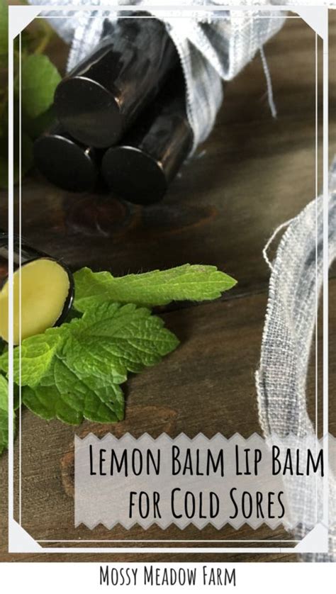 Lemon Balm Lip Balm For Cold Sores — Golden Vista Farm Lemon Balm