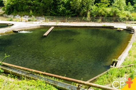 Como Construir E Abastecer Tanques De Peixes Artigos Cursos A