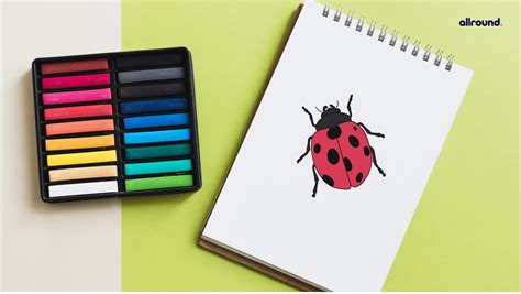 How to draw a Ladybug? - Step by Step Drawing Guide for Kids