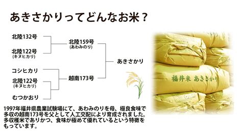 あきさかり 無洗米 5kg 福井県産 令和5年産｜無洗米福井県産あきさかり ｜最短即日発送、全国送料無料！福井県産米を中心に安全安心の国産米