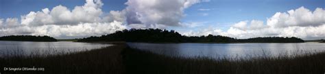 Tadoba lake in Tadoba tiger sanctuary | Smithsonian Photo Contest ...