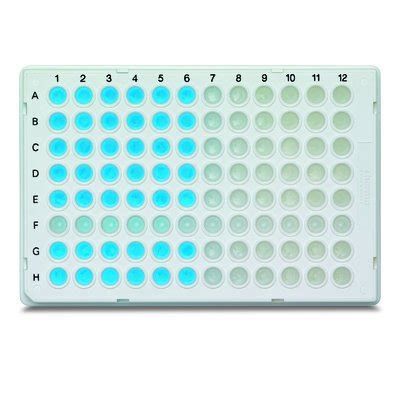 Kits RT qPCR de detección basada en SYBR Green Verso de 1 paso