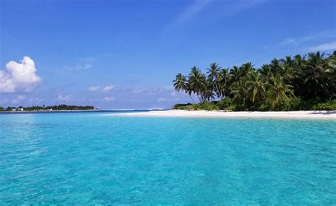 Gan island Beach 🏖️ Gaafu Alifu Atoll, Maldives - detailed features ...