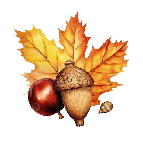 Acorns And Autumn Leaves Png Vector Psd And Clipart With Transparent