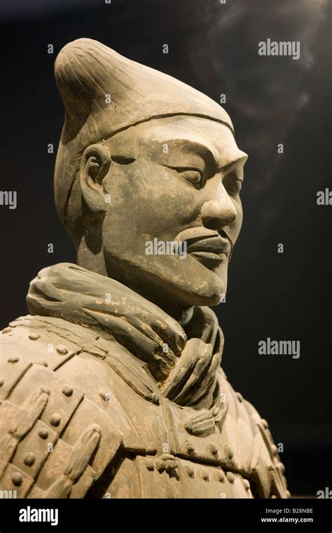 Terracotta Warrior On Display In The Shaanxi History Museum Xian China