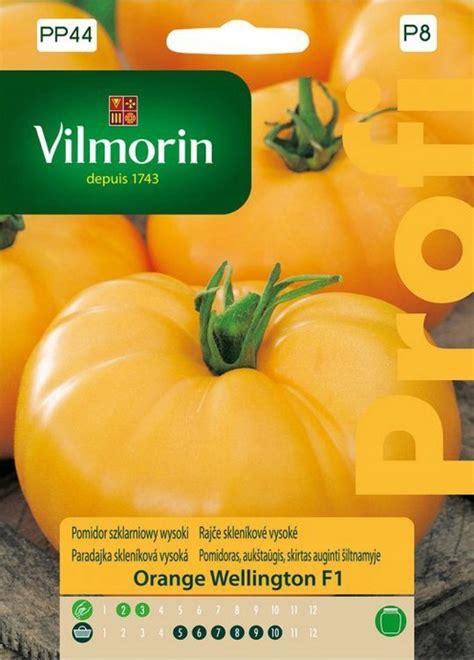 Nasiona Pomidora Orange Wellington F Vilmorin G Cena Opinie