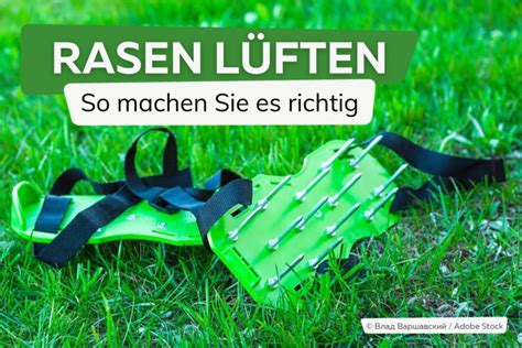 Rasen lüften wann und wie Der beste Zeitpunkt