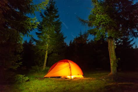 130+ Blue Tent Night Sky Pine Tree Stock Photos, Pictures & Royalty ...