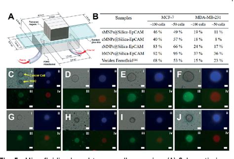 Figure From Microfluidics Enabled Rational Design Of Immunomagnetic