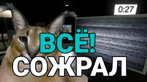 Он съел абсолютно всё... (без остатка) - YouTube