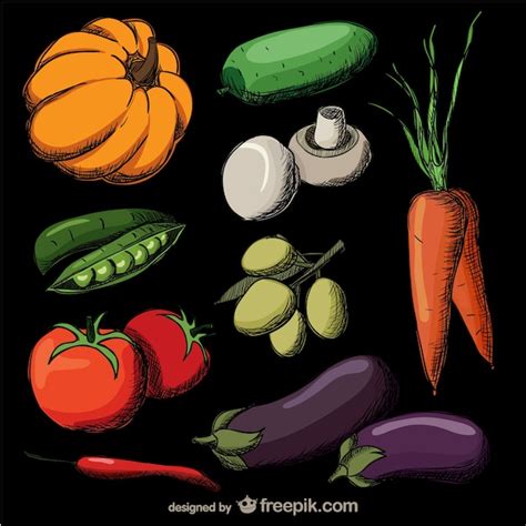 Dibujos Realistas De Verduras Vector Gratis