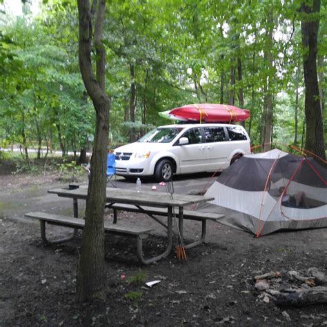 Greenbelt Park Campground Camping | The Dyrt