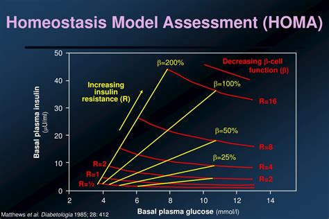 Ppt Conditions Associated With Insulin Resistance Powerpoint