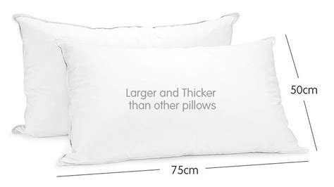 Duck Down Feather Pillow Twin Set 13kg Pay Later Alligator