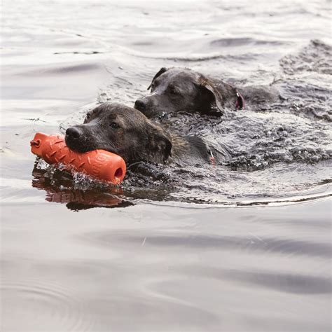 KONG Training Dummy Floating Dog Toy | PetFlow