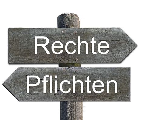 Ausbildung: Welche Rechte und Pflichten haben Azubis?