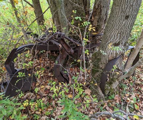 An old farm plow : r/treeseatingthings