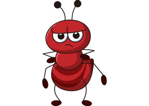 Ant Cute Illustration With Diagram Ant Cartoon Cartoon Ant Png