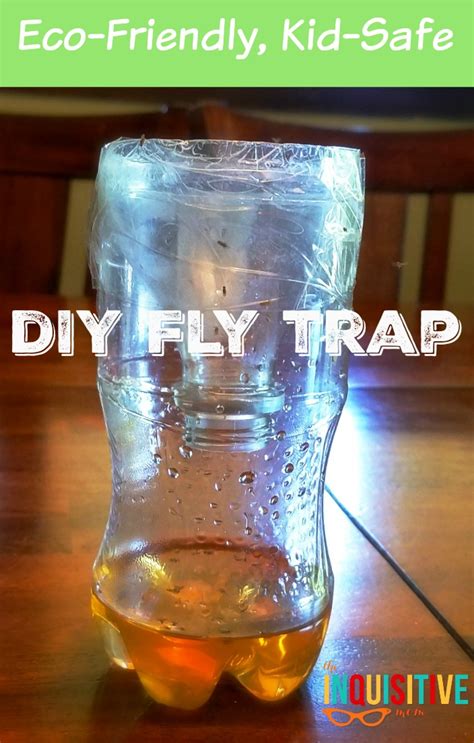 Eco-Friendly DIY Fly Trap - The Inquisitive Mom