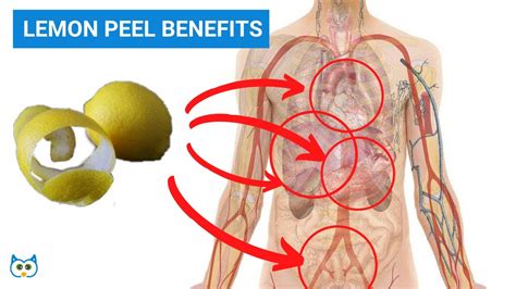 7 Lemon Peel Benefits You Are Unaware Of Lemon Peel Uses Lemon Peel