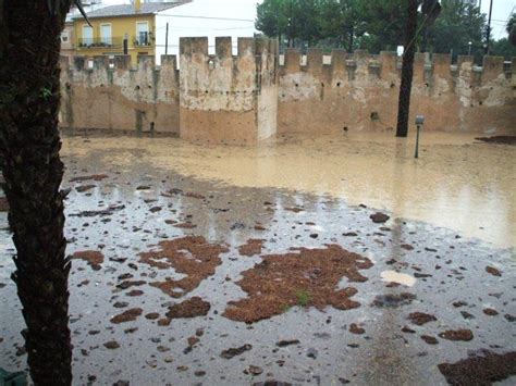 La Ribera Rebr Part Dels Milions D Euros Del Consell Per A Pal