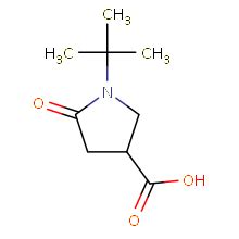 Chemshuttle Tert Butyl Oxopyrrolidine Carboxylic Acid