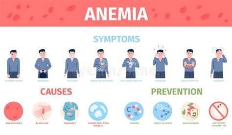 Sintomi Di Prevenzione Dell Anemia Trattamento E Cause Malattia