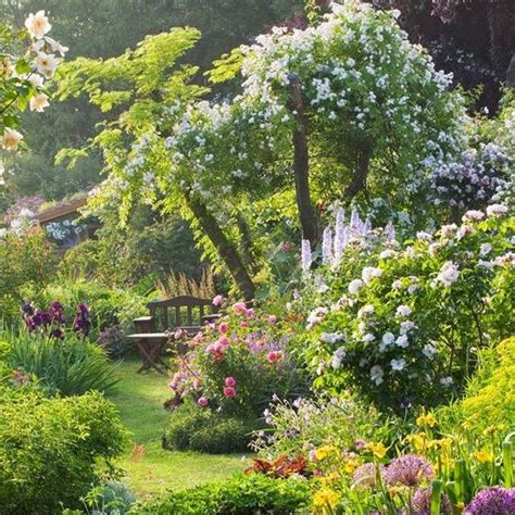 Faire Un Jardin Anglais Principes Et Plantes Pour L Am Nager C T