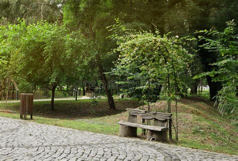 Hermoso Parque Verde Con Basurero De Banco Y Camino Pavimentado Foto De