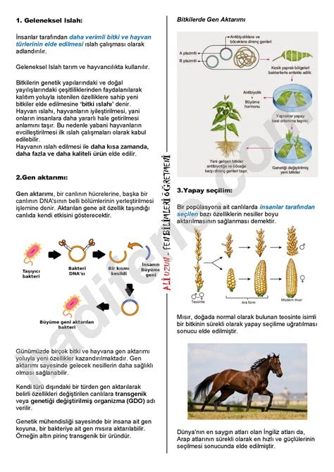 N Te Dna Ve Genet K Kod B Yoteknoloj Hadi Fene Fen E Itim Merkezi