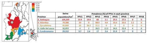 Molecular Epidemiology And Phyloevolutionary Analysis Of Porcine