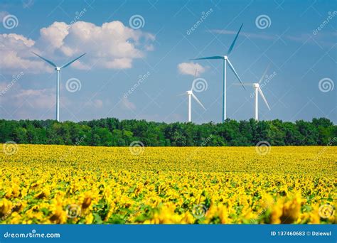 Windmills In The Blue Sky Background Stock Photo