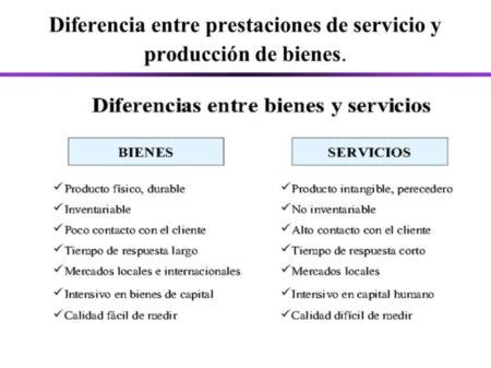 La Clave Para Entender La Diferencia Entre Bienes Y Servicios MD Pajedrez