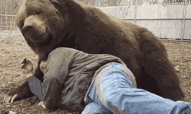 Cute Bear GIF - Cute Bear Cuddle - Discover & Share GIFs