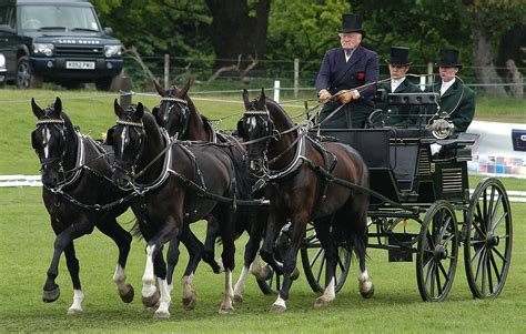 Carriage Pleasure Driving —